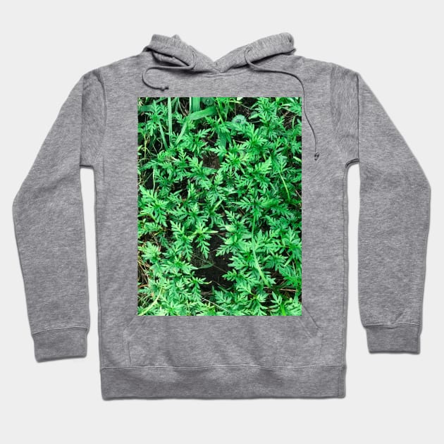 Grass (Yellow cosmos) texture background (greener) Hoodie by FOGSJ